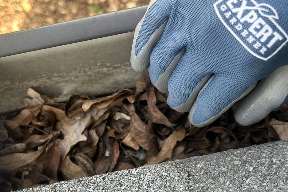 Gutter Cleaning Smyrna DE