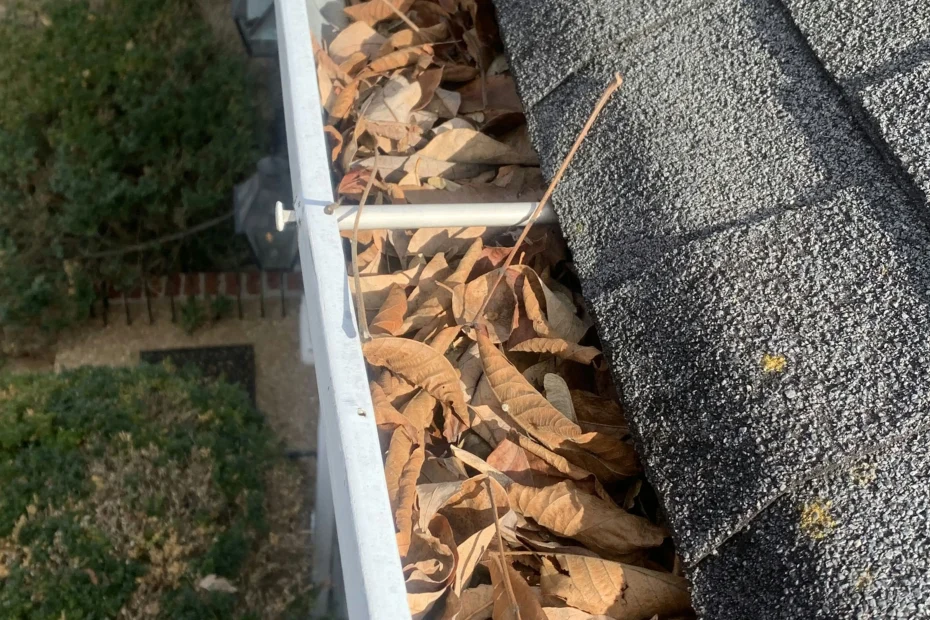 Gutter Cleaning Smyrna DE