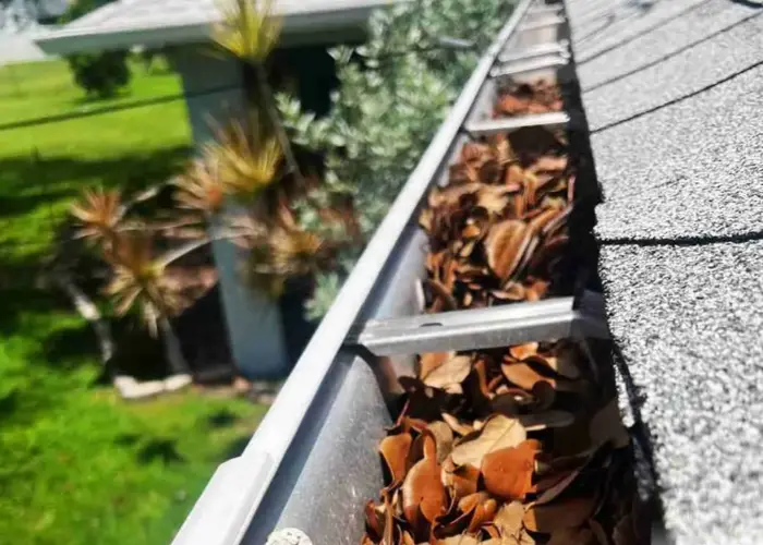 Gutter Cleaning Smyrna DE home page